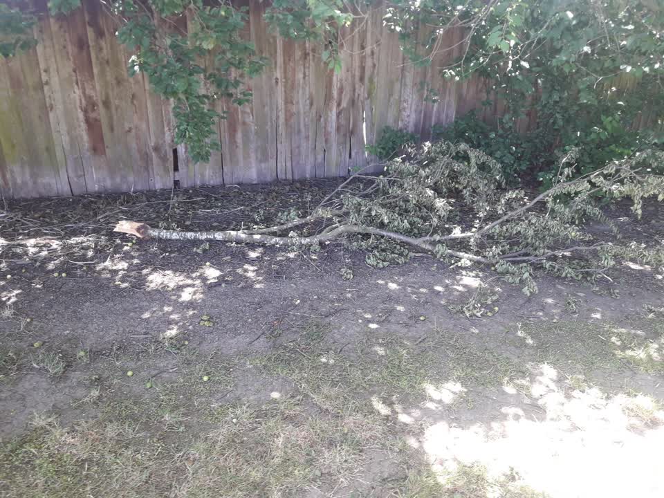 The photograph attached to this parks report