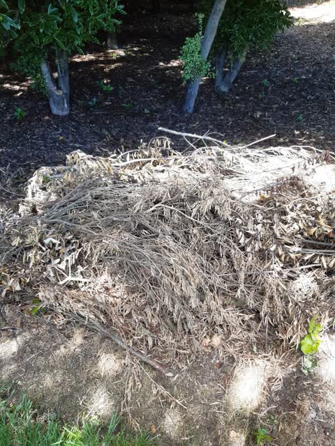 Parks, a report photo