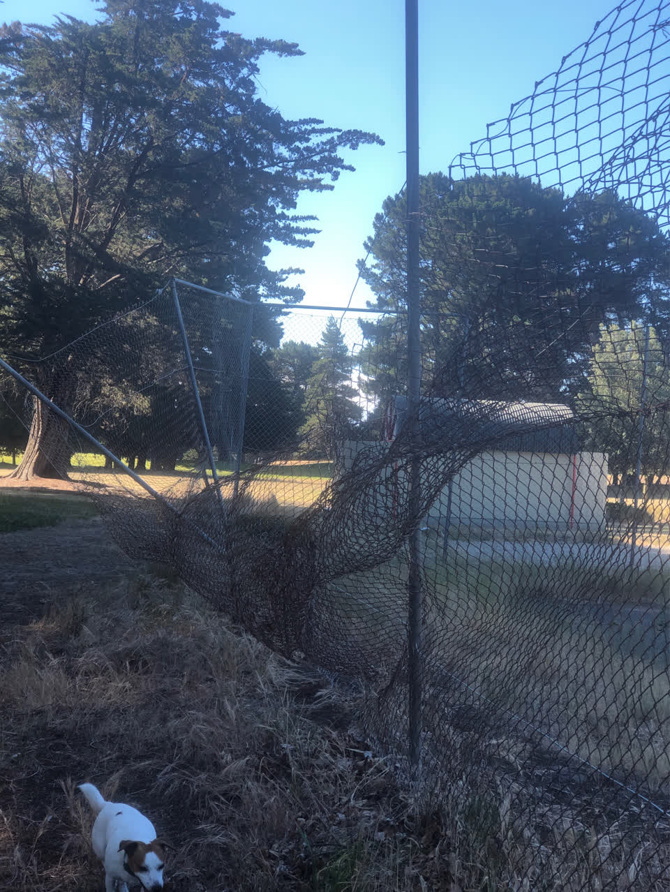 The photograph attached to this parks report