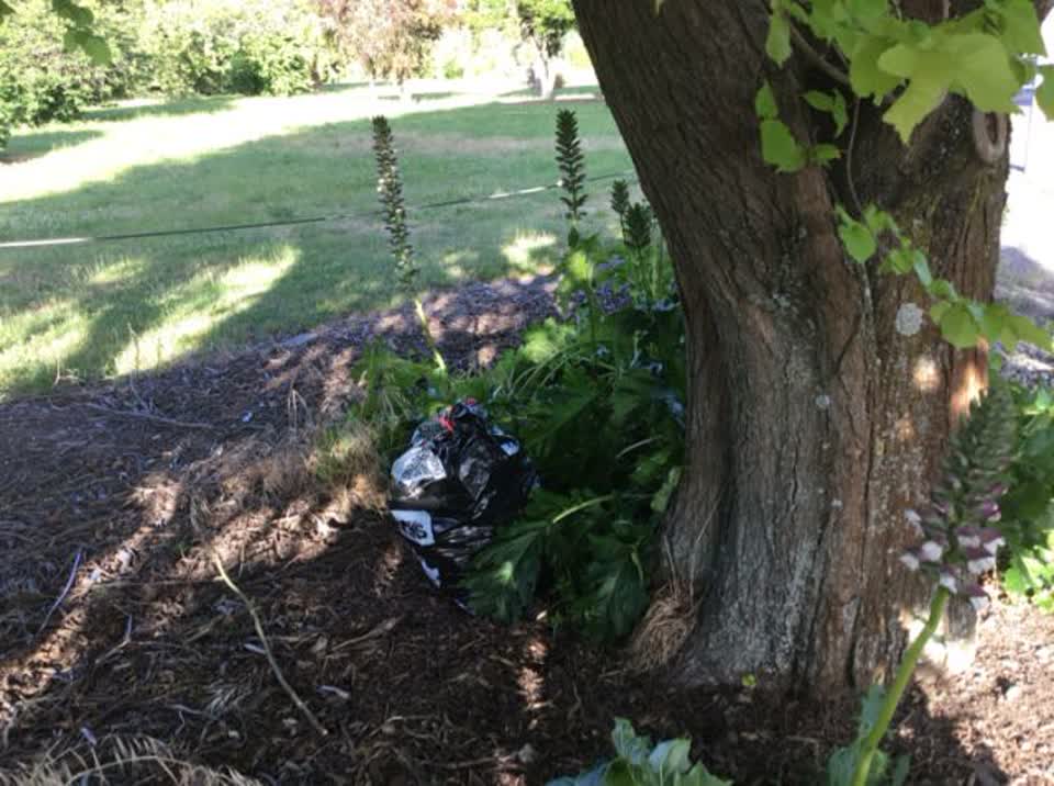 The photograph attached to this rubbish/recycling report