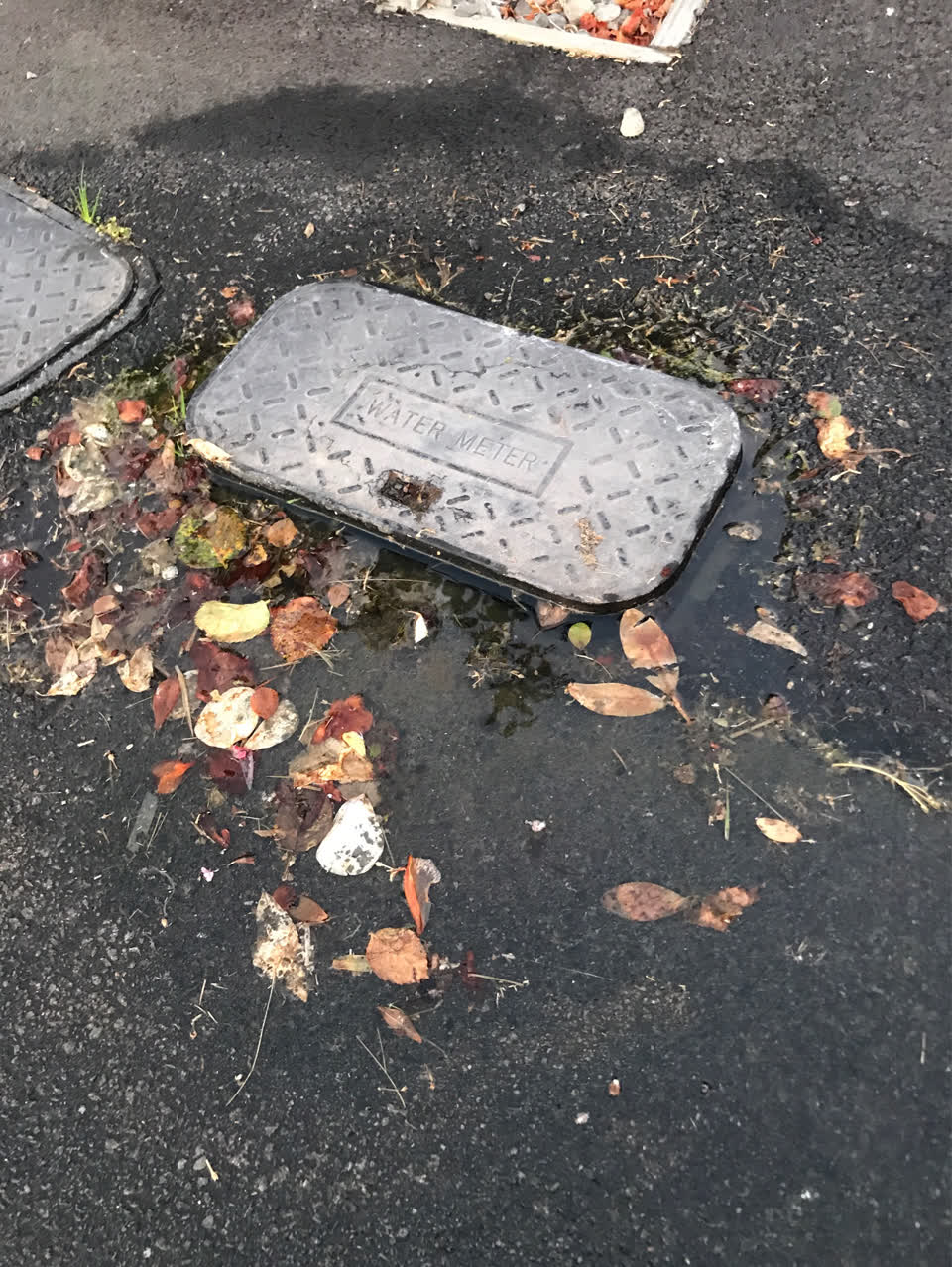 The photograph attached to this water supply report