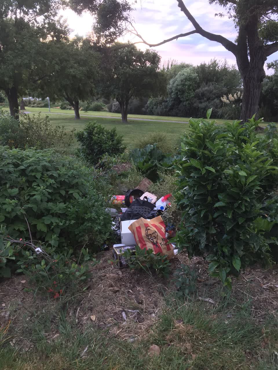 The photograph attached to this rubbish/recycling report