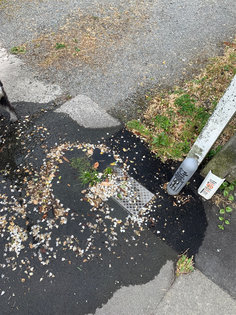 The photograph attached to this flooding report