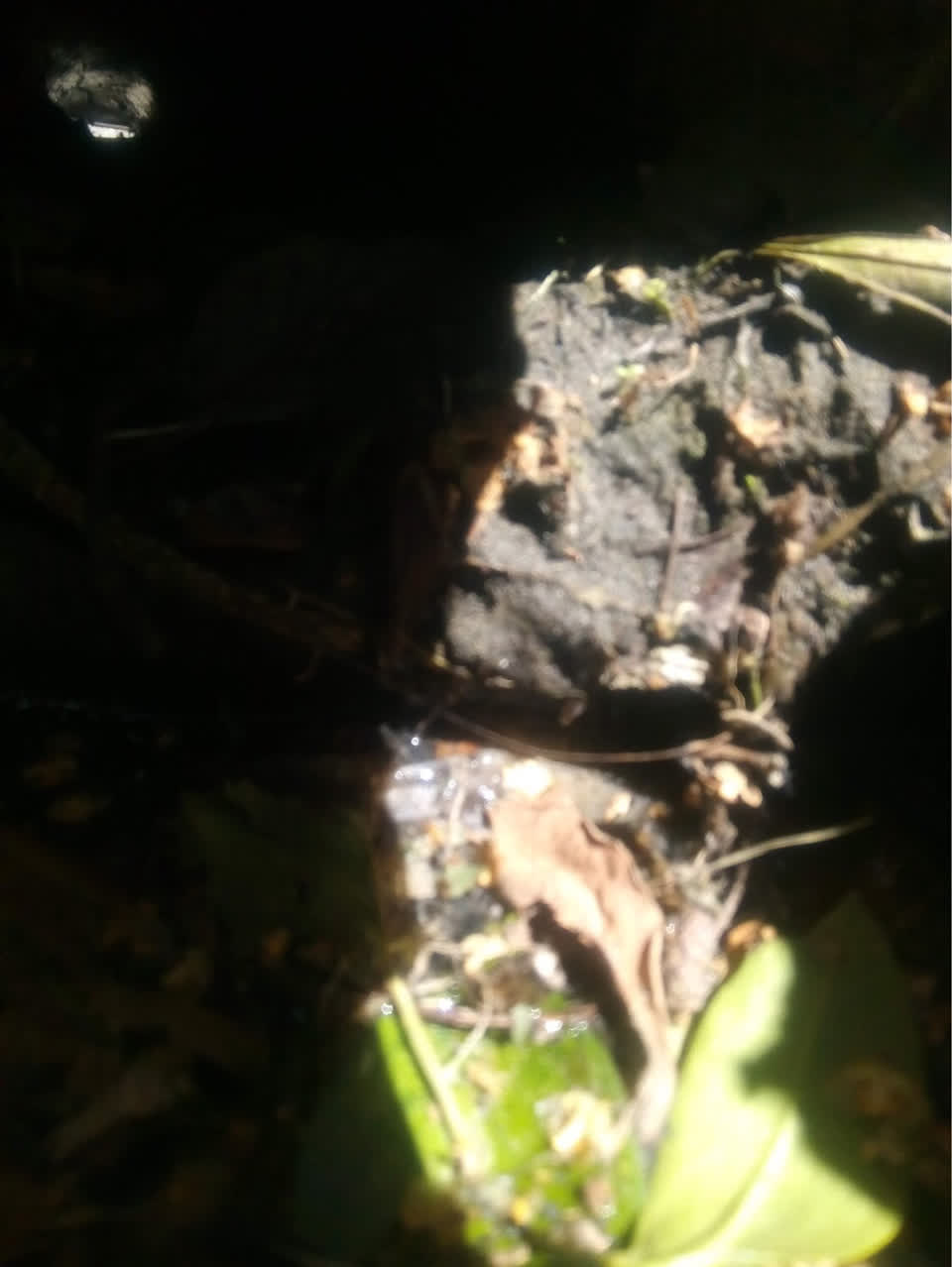 The photograph attached to this wastewater/stormwater report