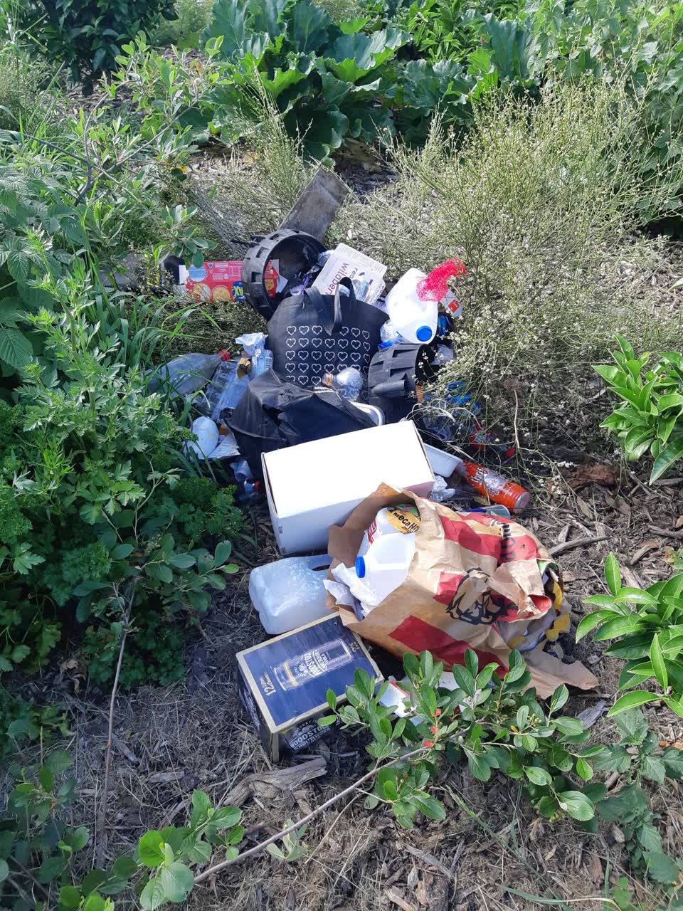 The photograph attached to this rubbish/recycling report