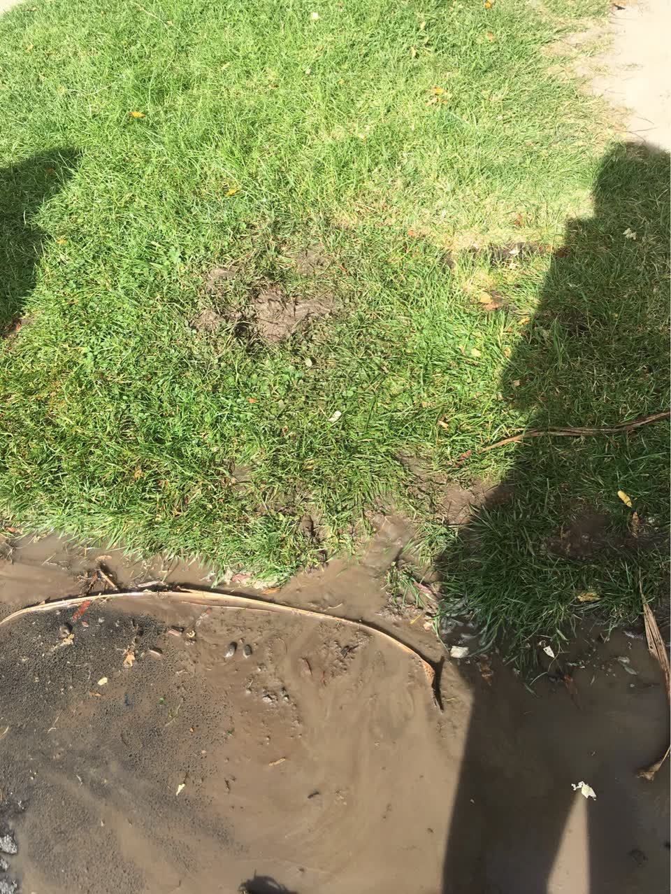 The photograph attached to this flooding report