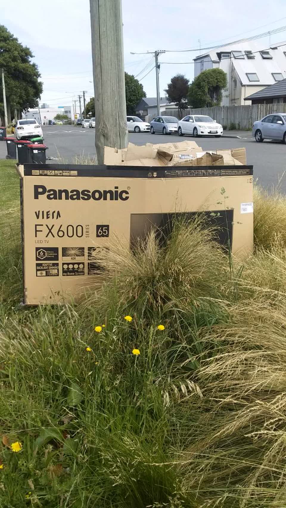The photograph attached to this rubbish/recycling report