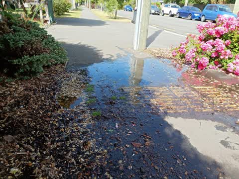 Water Supply — a report photo