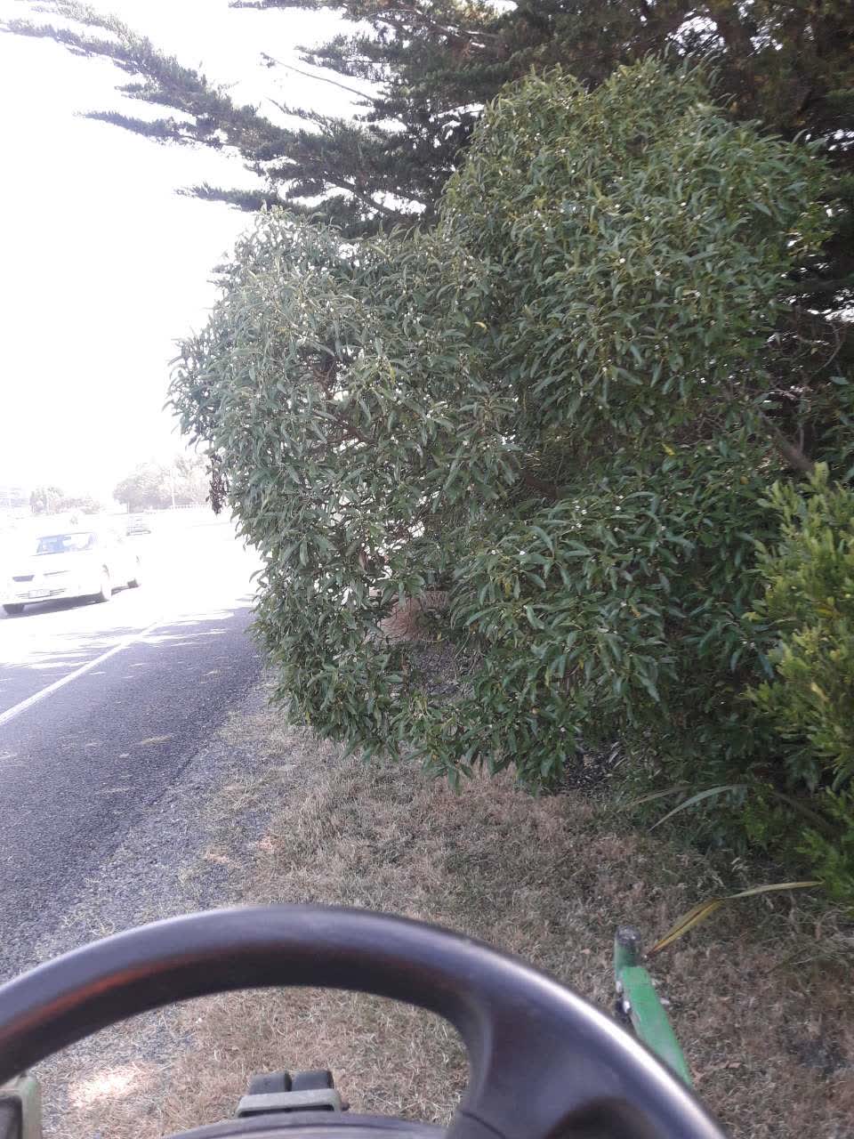 The photograph attached to this parks report