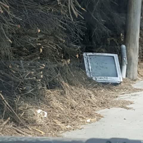 Rubbish/Recycling, a report photo