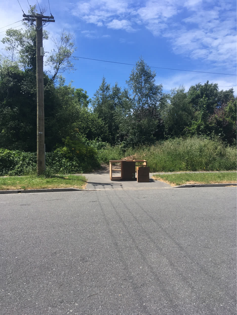 The photograph attached to this rubbish/recycling report
