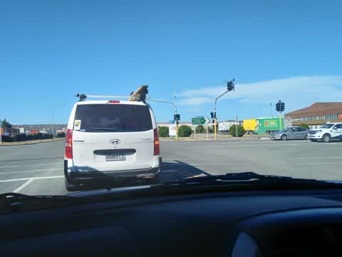 Roading/Streets, a report photo