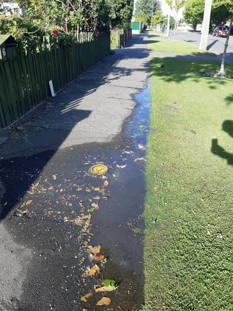 Water Supply, a report photo