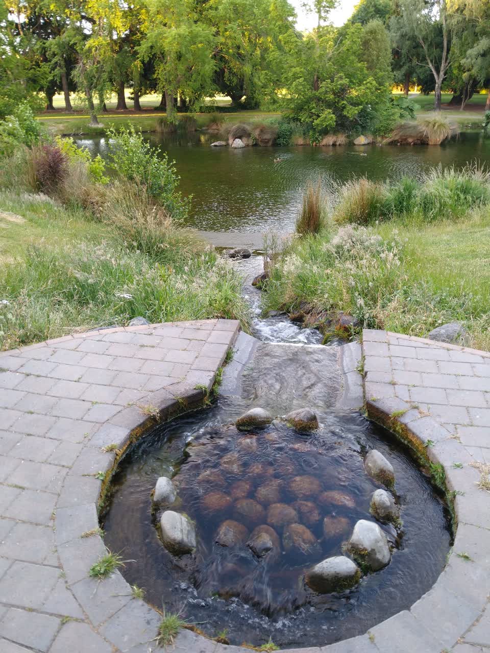 The photograph attached to this parks report