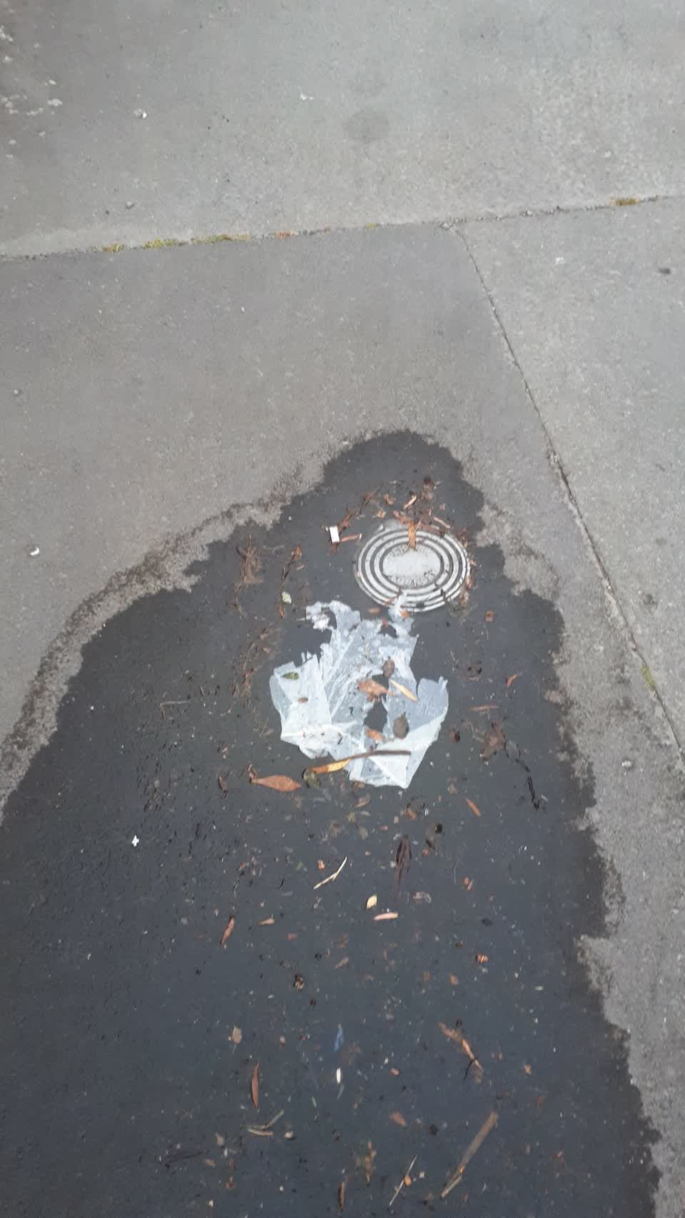 The photograph attached to this water supply report