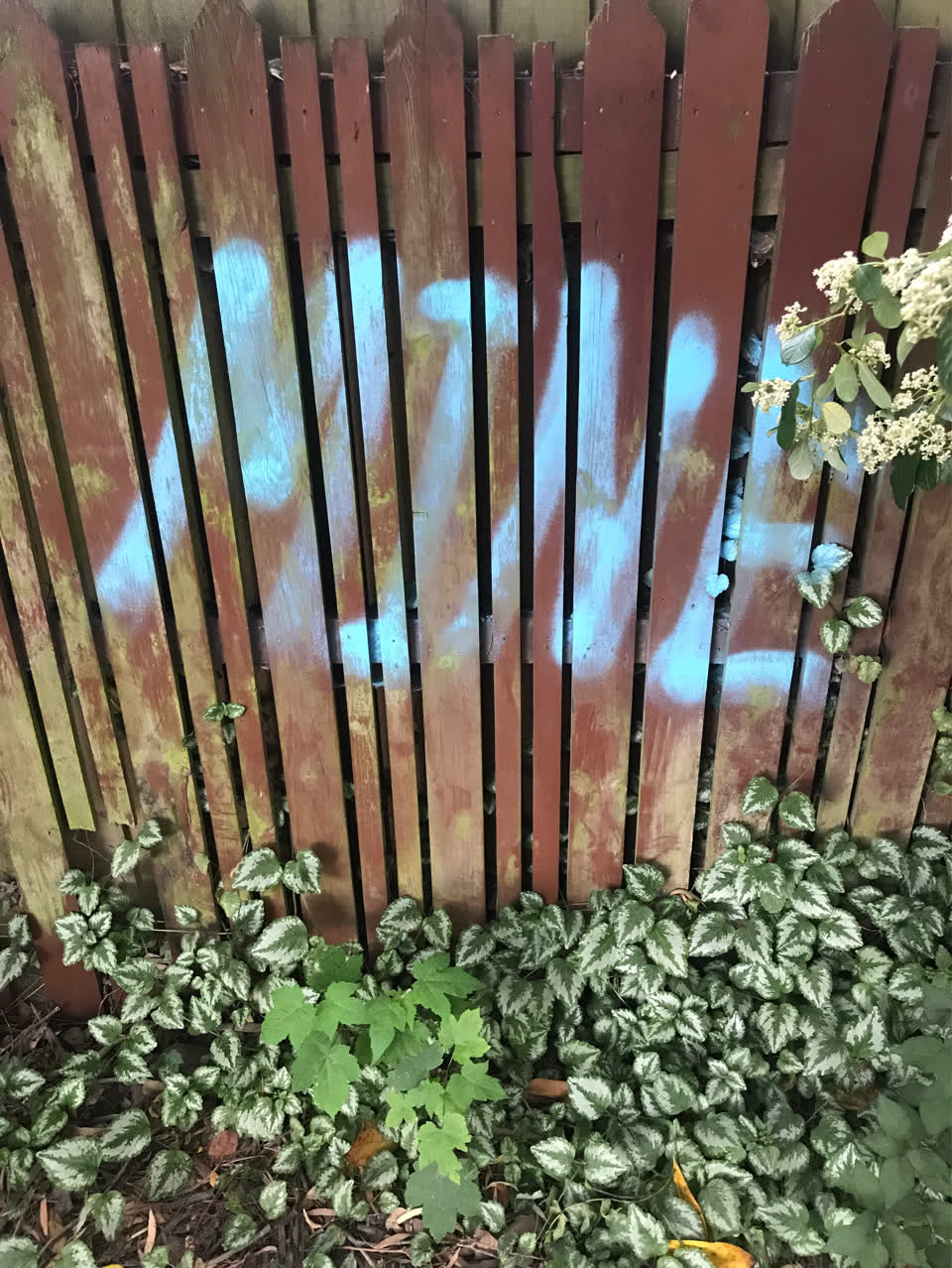 The photograph attached to this graffiti report