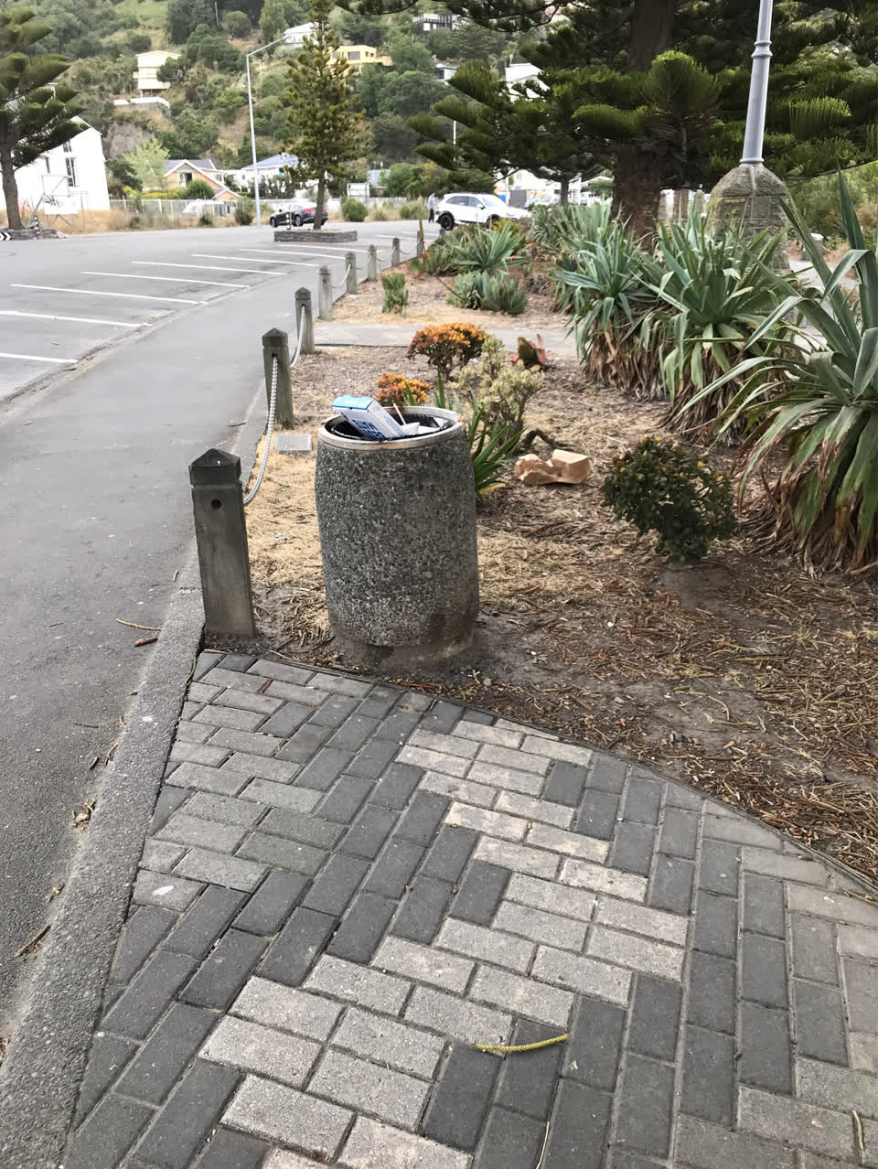 The photograph attached to this parks report