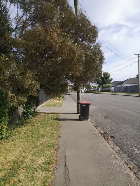 Roading/Streets, a report photo