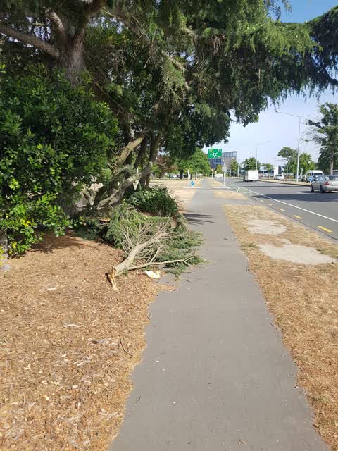 Roading/Streets, a report photo
