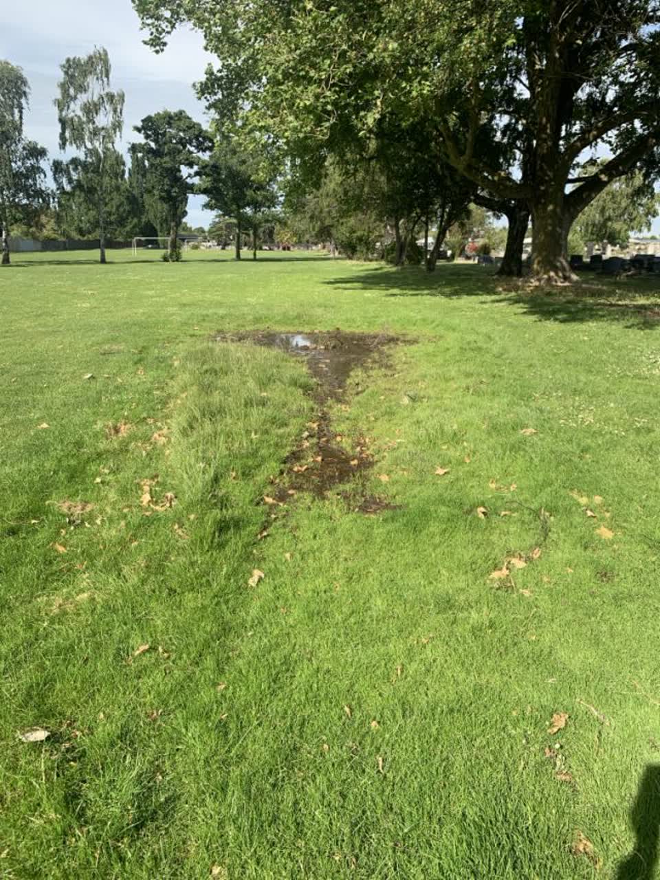 The photograph attached to this parks report