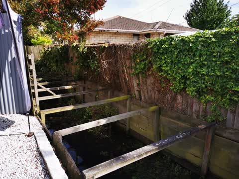 Parks, a report photo