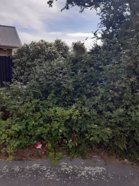 Parks, a report photo