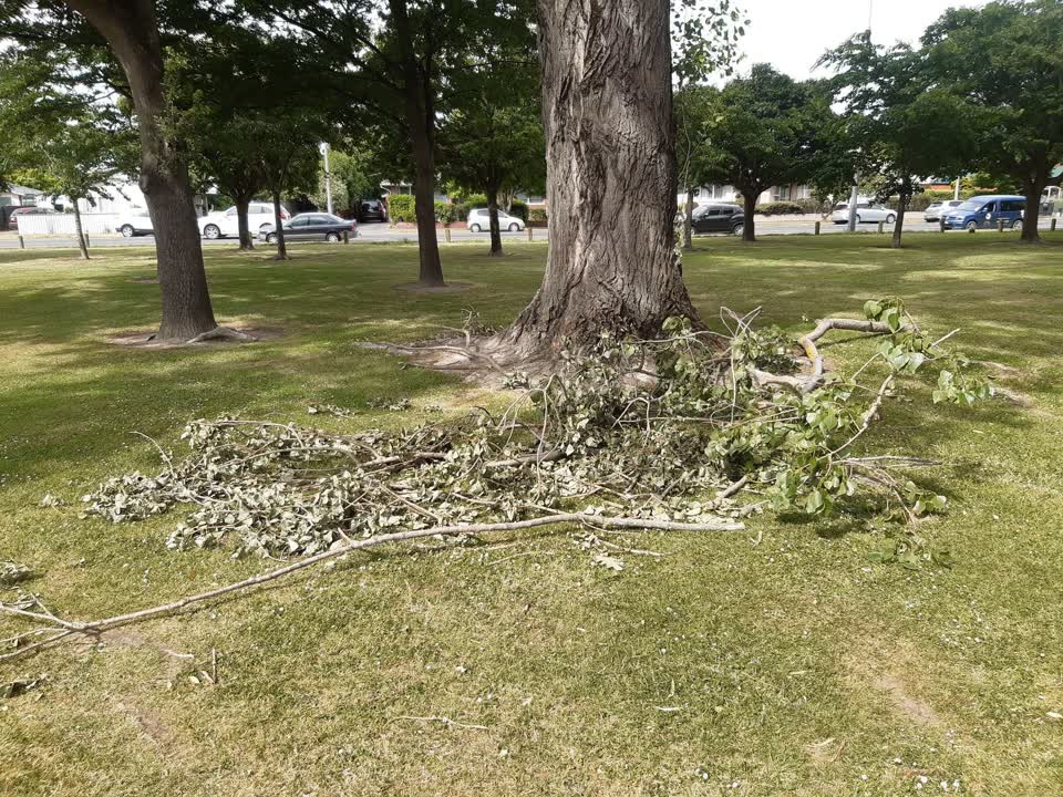 The photograph attached to this parks report