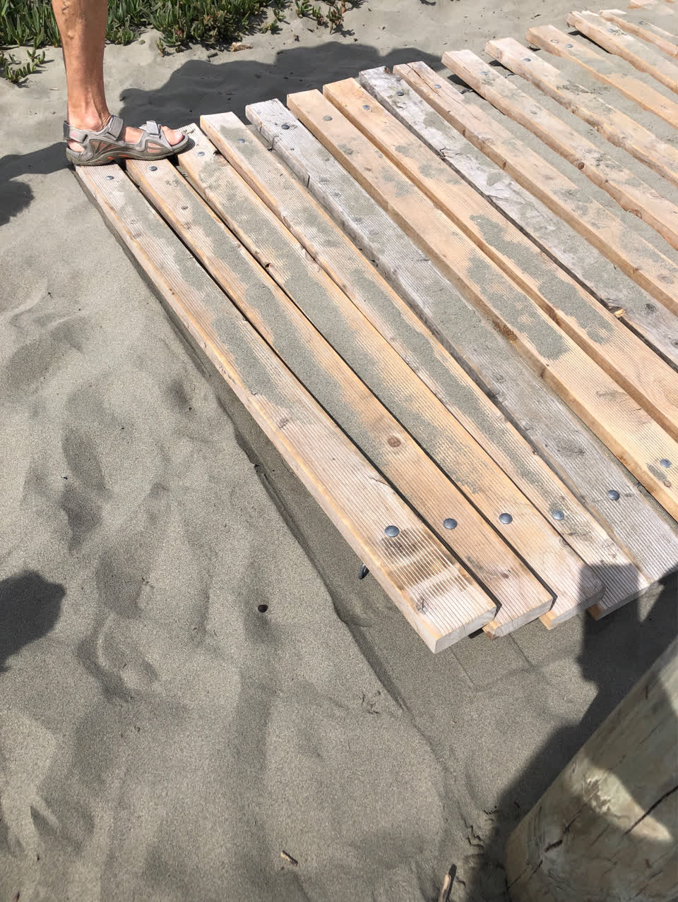The photograph attached to this parks report