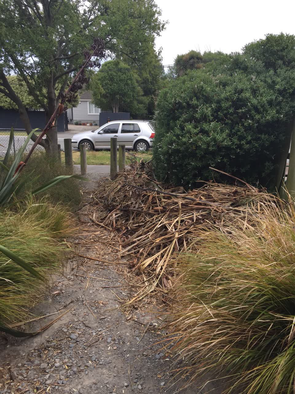 The photograph attached to this parks report