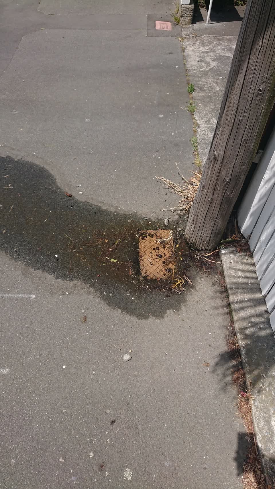 The photograph attached to this water supply report