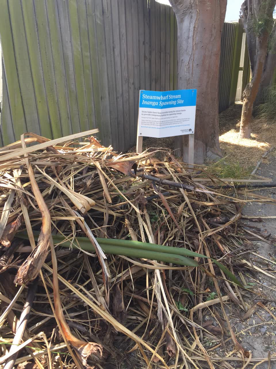 The photograph attached to this parks report