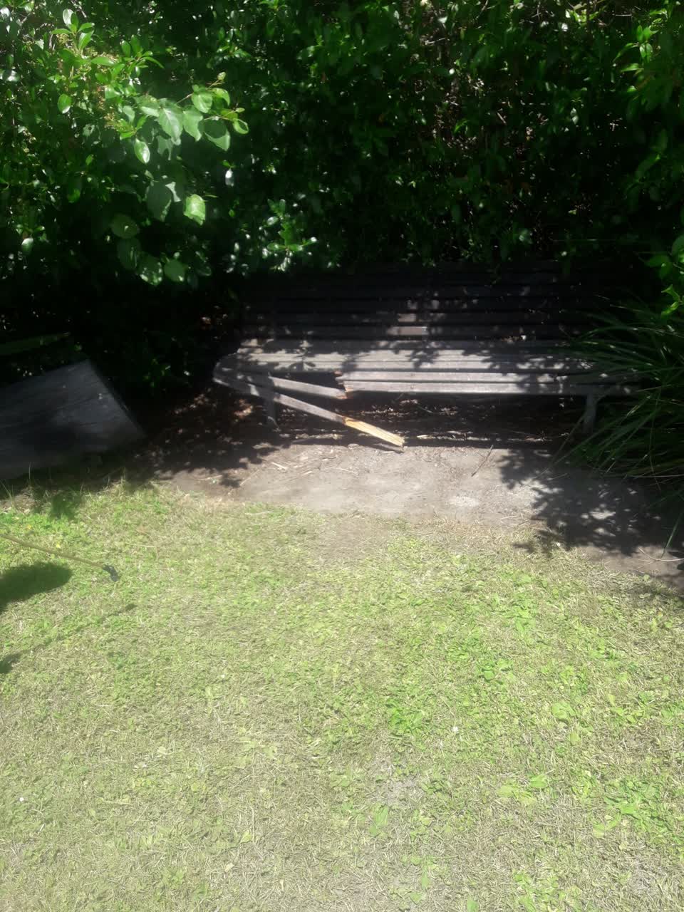 The photograph attached to this parks report