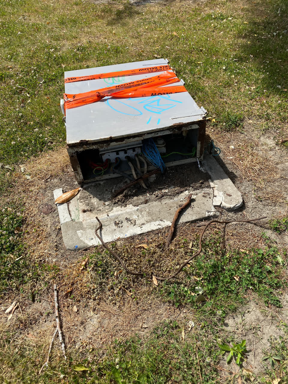 The photograph attached to this parks report