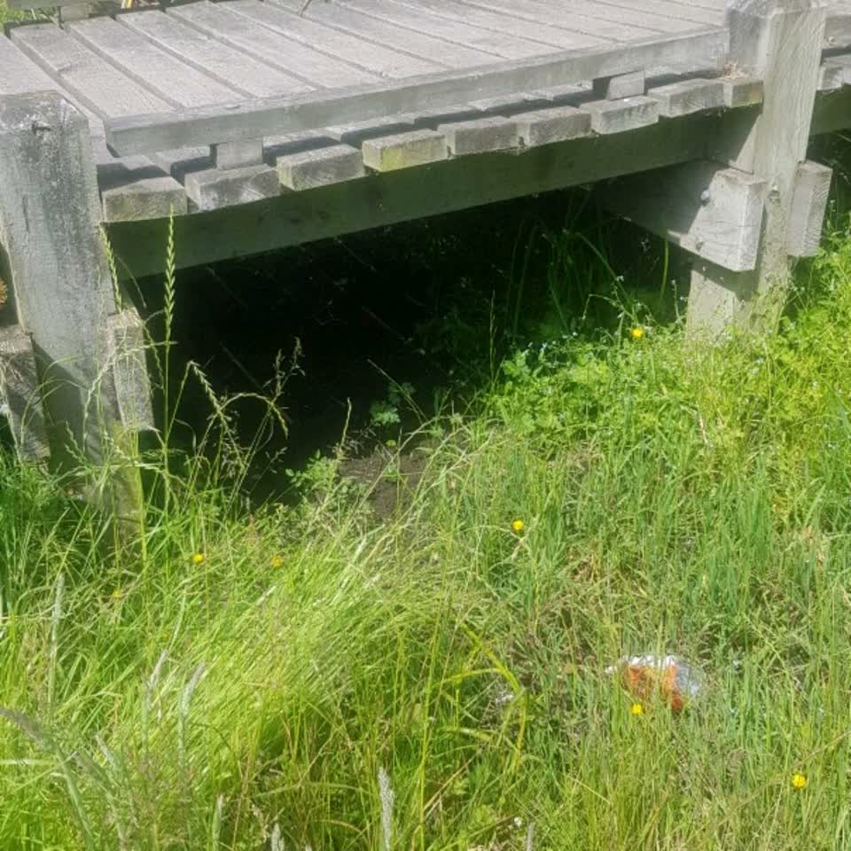 The photograph attached to this parks report