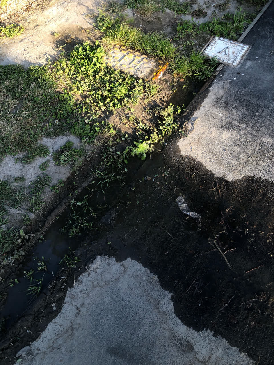 The photograph attached to this water supply report