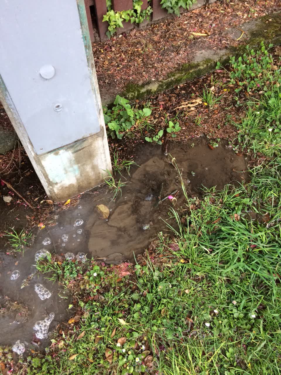 The photograph attached to this water supply report