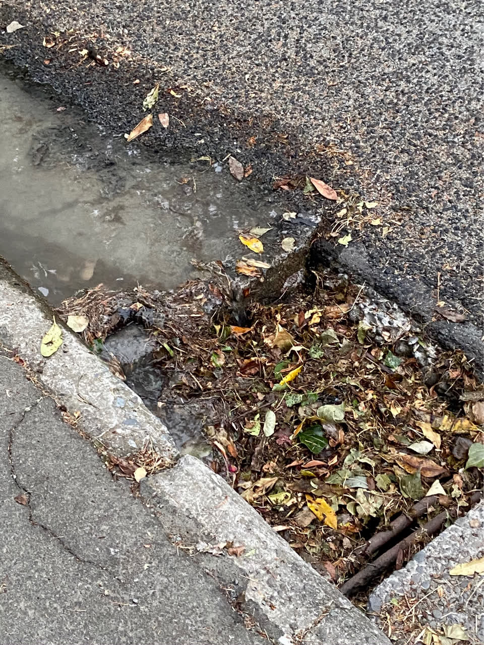 The photograph attached to this flooding report