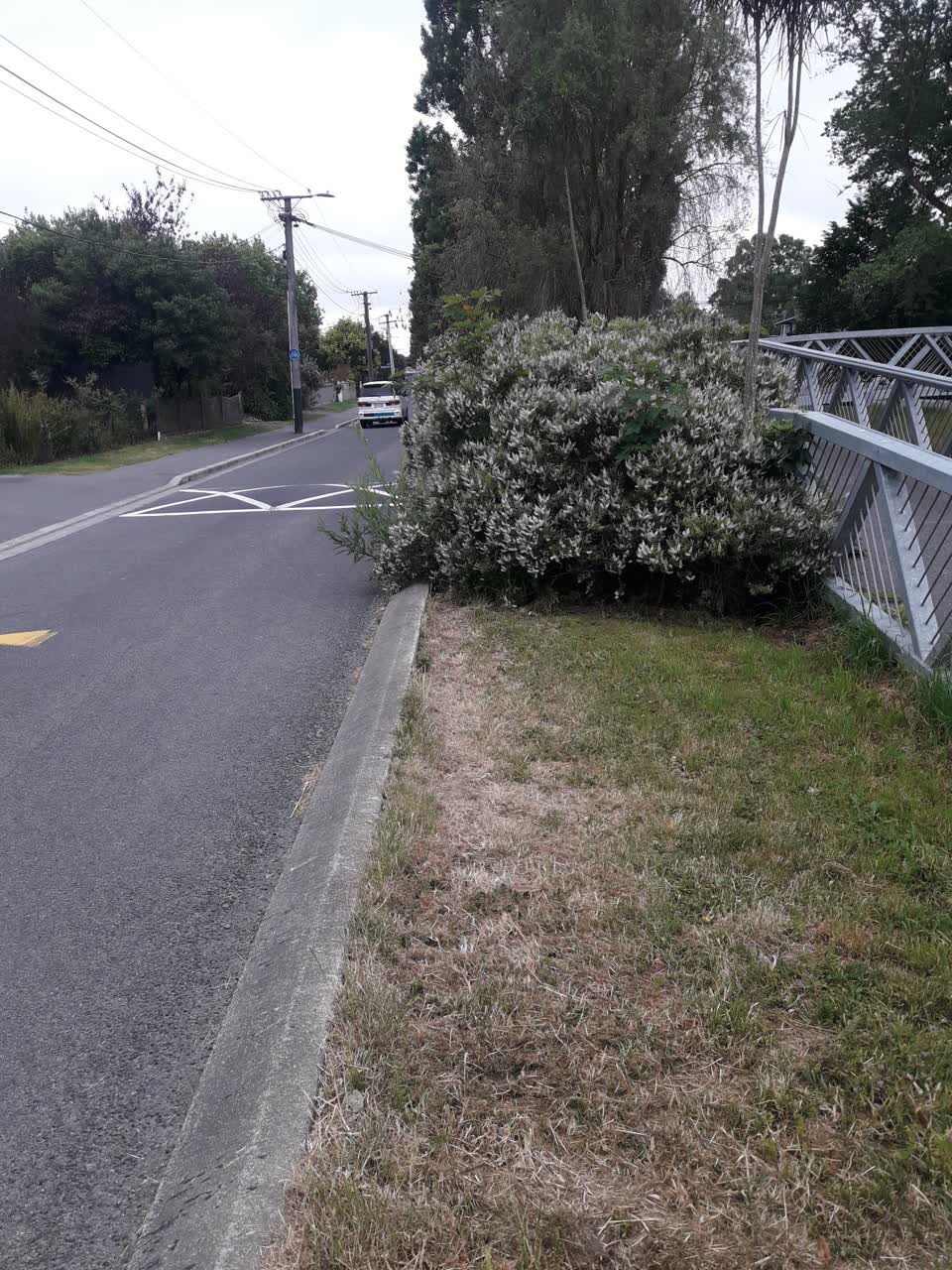 The photograph attached to this parks report