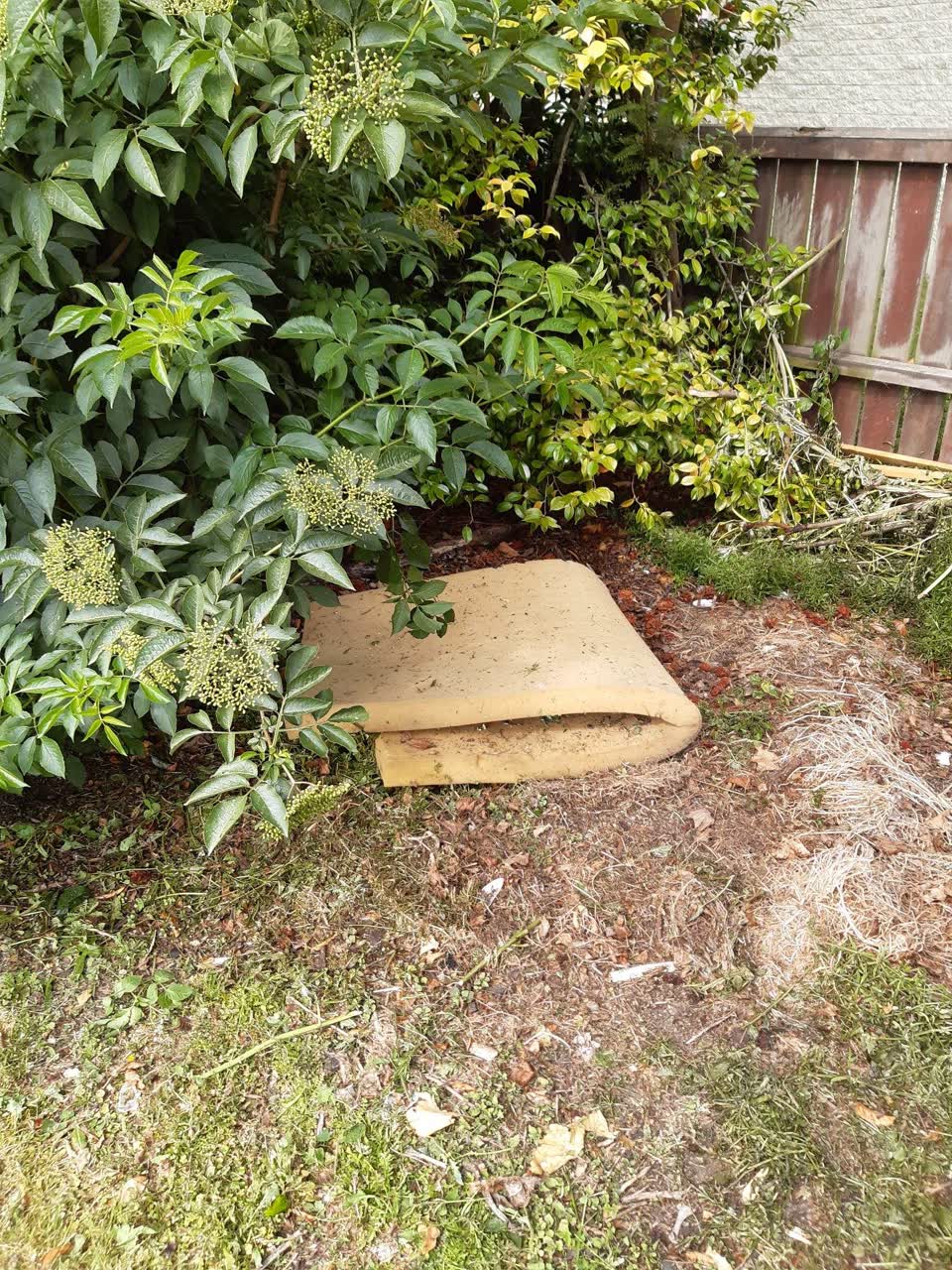 The photograph attached to this parks report