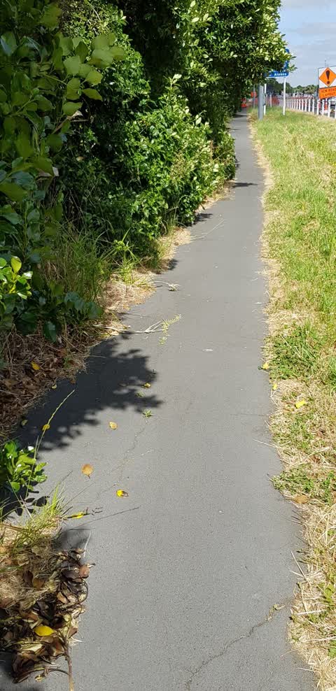 Roading/Streets, a report photo