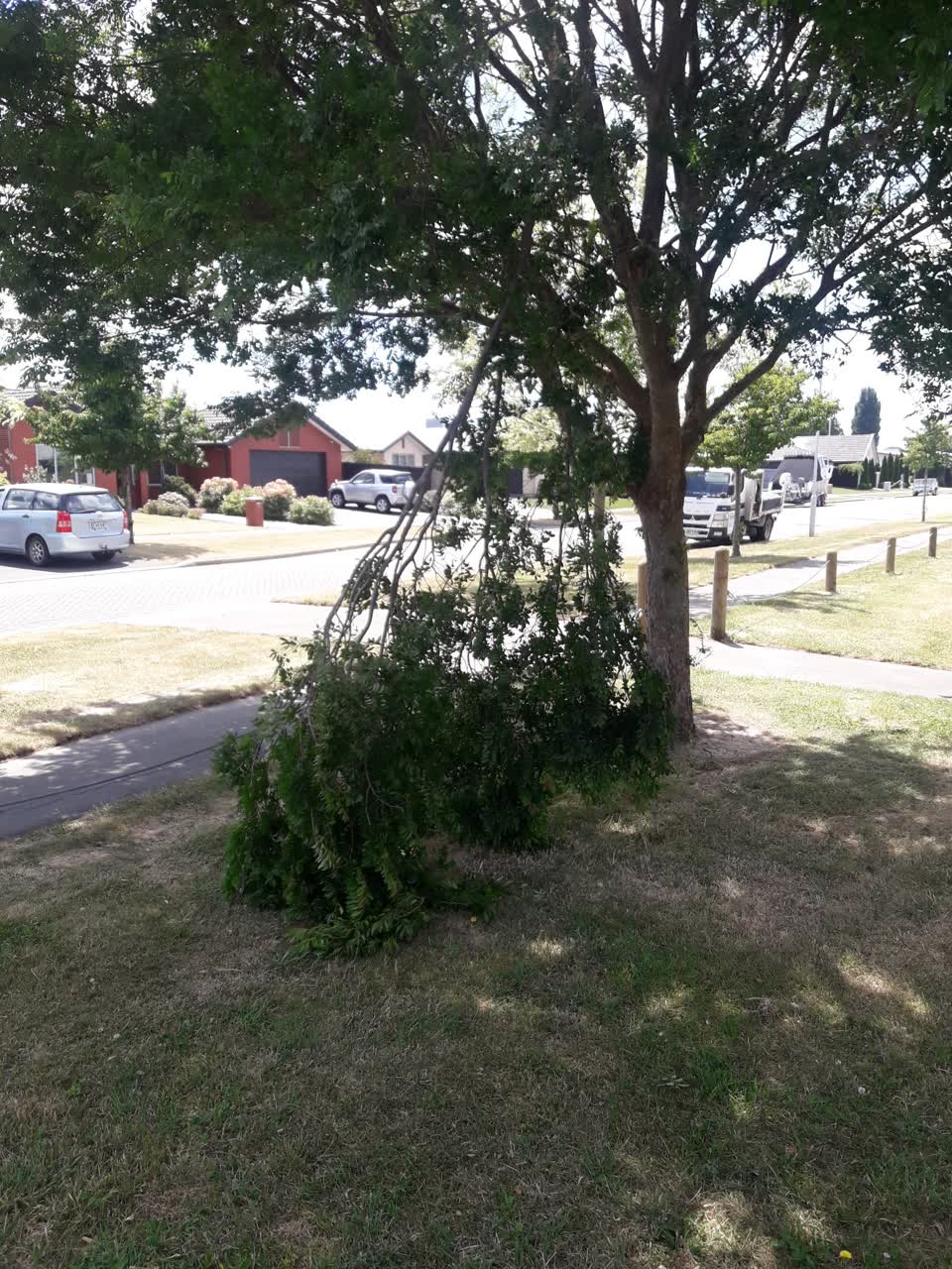 The photograph attached to this parks report