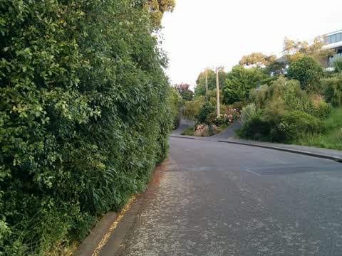 Roading/Streets, a report photo