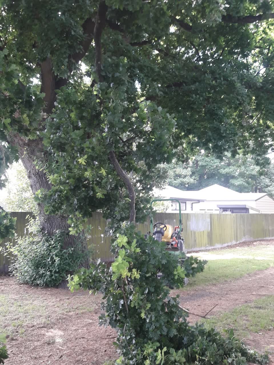 The photograph attached to this parks report