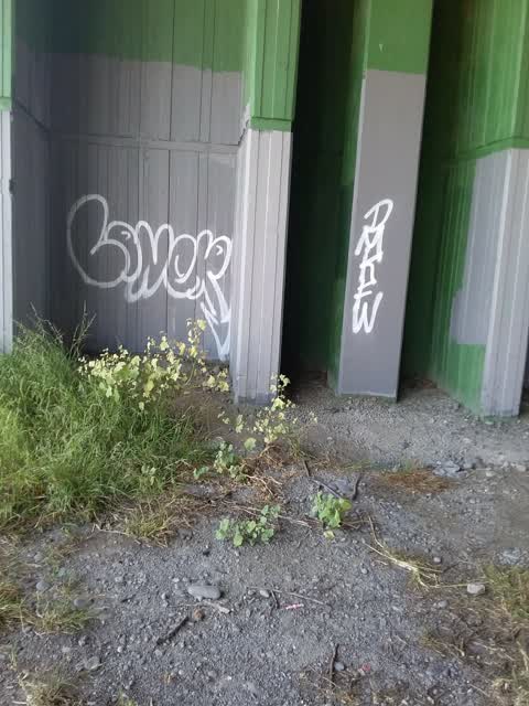 Graffiti, a report photo