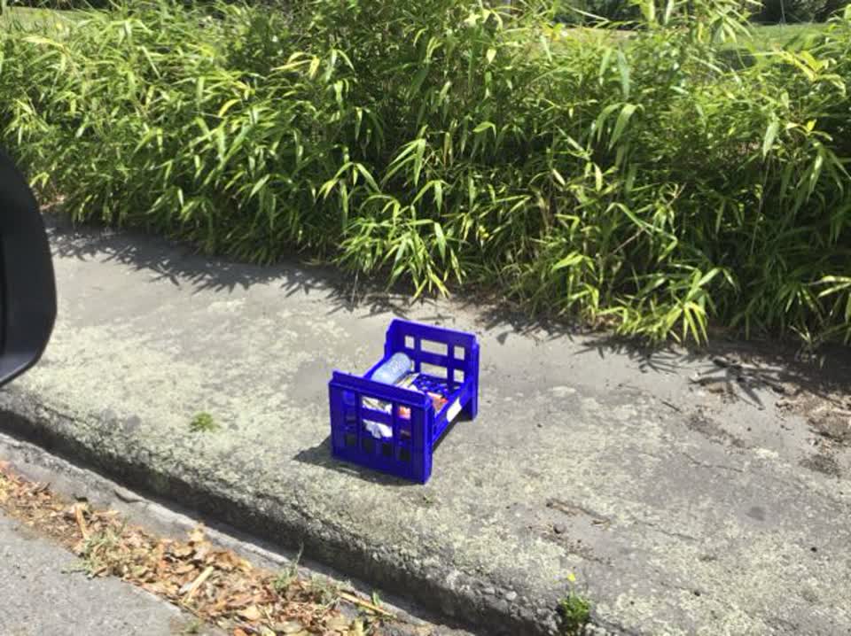 The photograph attached to this rubbish/recycling report