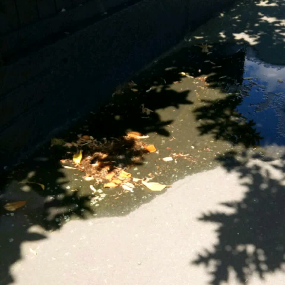 The photograph attached to this flooding report