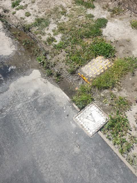 Water Supply, a report photo
