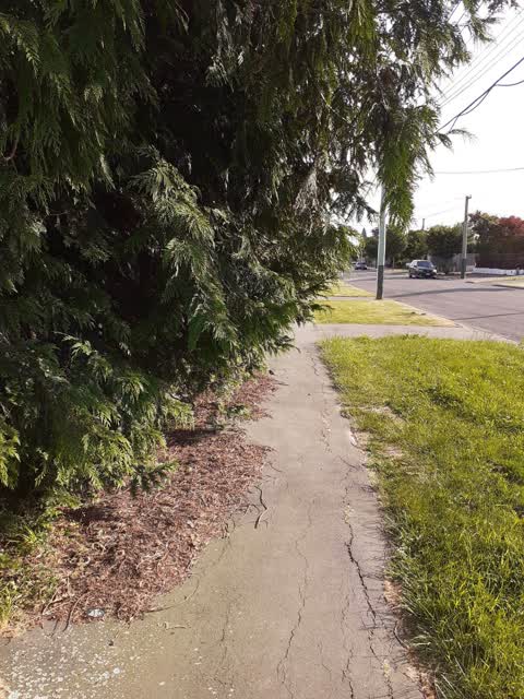 Roading/Streets — a report photo