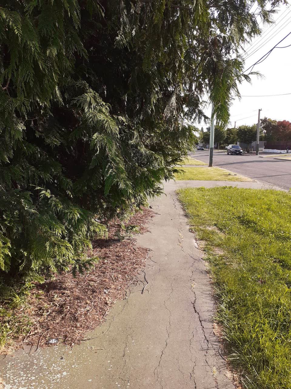 The photograph attached to this roading/streets report