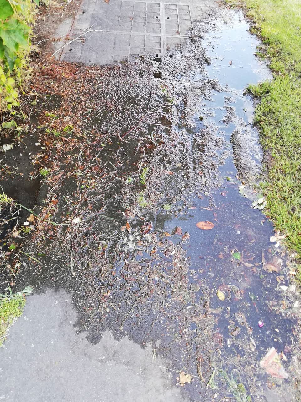 The photograph attached to this water supply report